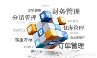 零編程經驗，也能打造企業級管理軟件？——新時代下的企業軟件開發新路徑